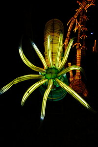 20250111 - Illuminations 2024 - Jurassique en voie d'illumination, 009