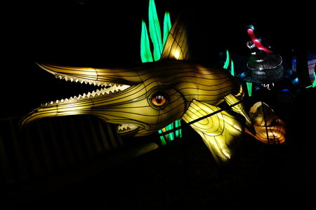 20250111 - Illuminations 2024 - Jurassique en voie d'illumination, 010