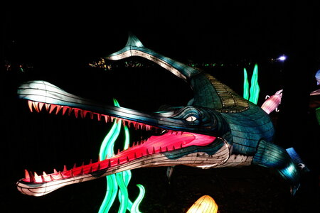 20250111 - Illuminations 2024 - Jurassique en voie d'illumination, 011