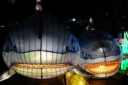 20250111 - Illuminations 2024 - Jurassique en voie d'illumination, 012