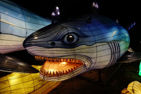 20250111 - Illuminations 2024 - Jurassique en voie d'illumination, 014