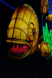 20250111 - Illuminations 2024 - Jurassique en voie d'illumination, 015