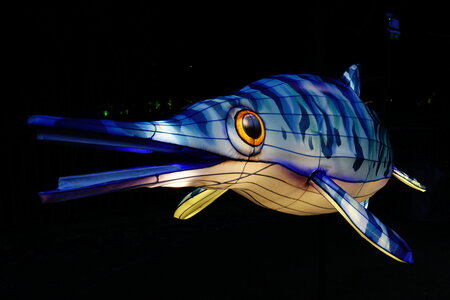 20250111 - Illuminations 2024 - Jurassique en voie d'illumination, 019