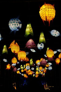 20250111 - Illuminations 2024 - Jurassique en voie d'illumination, 020