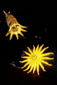 20250111 - Illuminations 2024 - Jurassique en voie d'illumination, 022