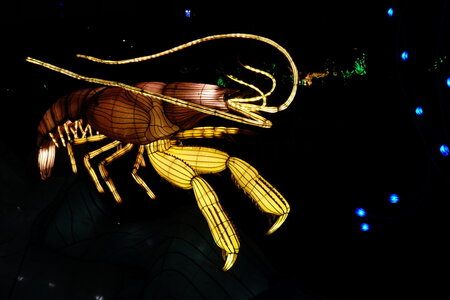 20250111 - Illuminations 2024 - Jurassique en voie d'illumination, 024