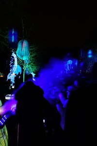 20250111 - Illuminations 2024 - Jurassique en voie d'illumination, 026