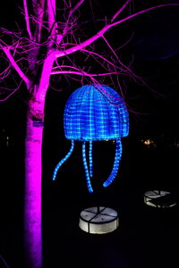 20250111 - Illuminations 2024 - Jurassique en voie d'illumination, 028