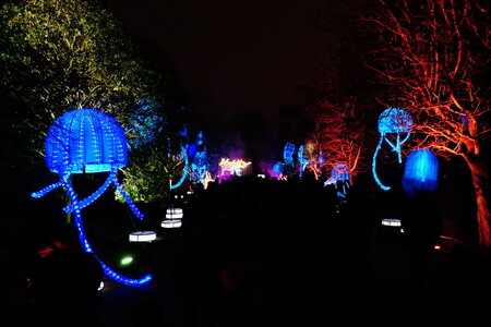 20250111 - Illuminations 2024 - Jurassique en voie d'illumination, 029