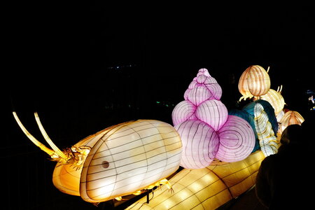 20250111 - Illuminations 2024 - Jurassique en voie d'illumination, 030