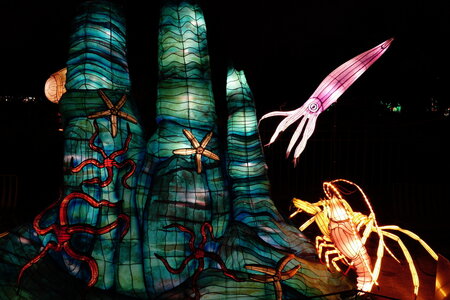 20250111 - Illuminations 2024 - Jurassique en voie d'illumination, 032