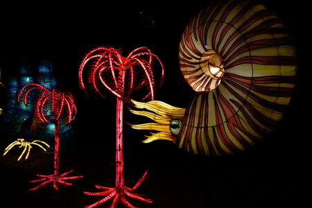 20250111 - Illuminations 2024 - Jurassique en voie d'illumination, 033