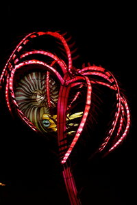 20250111 - Illuminations 2024 - Jurassique en voie d'illumination, 036