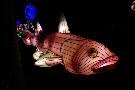 20250111 - Illuminations 2024 - Jurassique en voie d'illumination, 037