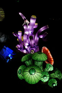 20250111 - Illuminations 2024 - Jurassique en voie d'illumination, 039