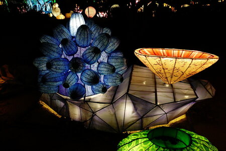 20250111 - Illuminations 2024 - Jurassique en voie d'illumination, 041