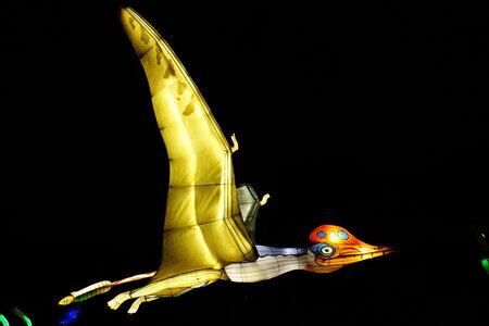 20250111 - Illuminations 2024 - Jurassique en voie d'illumination, 046