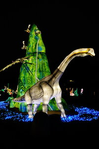 20250111 - Illuminations 2024 - Jurassique en voie d'illumination, 049