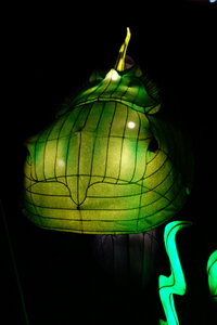 20250111 - Illuminations 2024 - Jurassique en voie d'illumination, 050