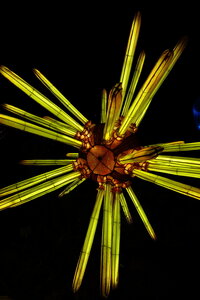 20250111 - Illuminations 2024 - Jurassique en voie d'illumination, 052