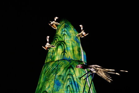 20250111 - Illuminations 2024 - Jurassique en voie d'illumination, 053