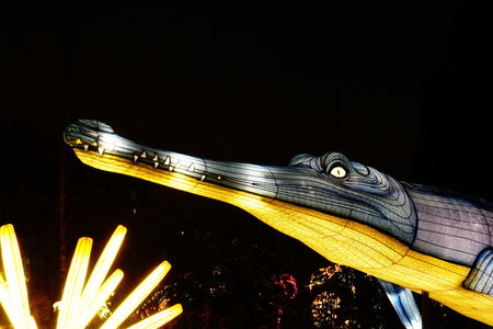 20250111 - Illuminations 2024 - Jurassique en voie d'illumination, 054