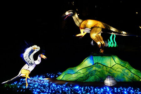 20250111 - Illuminations 2024 - Jurassique en voie d'illumination, 055