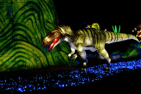 20250111 - Illuminations 2024 - Jurassique en voie d'illumination, 057