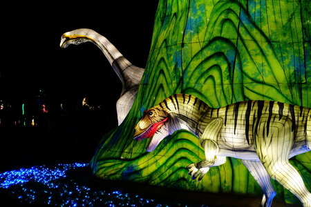 20250111 - Illuminations 2024 - Jurassique en voie d'illumination, 058