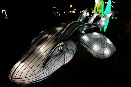 20250111 - Illuminations 2024 - Jurassique en voie d'illumination, 062