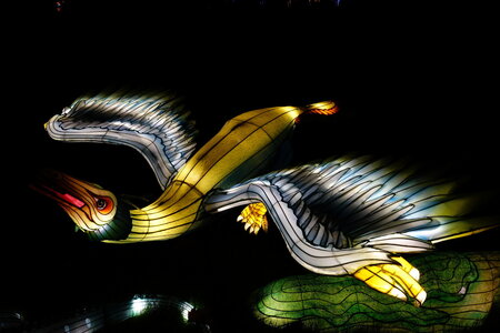 20250111 - Illuminations 2024 - Jurassique en voie d'illumination, 065