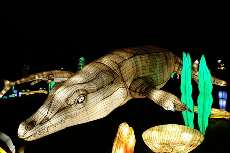 20250111 - Illuminations 2024 - Jurassique en voie d'illumination, 067