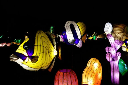 20250111 - Illuminations 2024 - Jurassique en voie d'illumination, 069