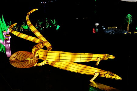 20250111 - Illuminations 2024 - Jurassique en voie d'illumination, 070