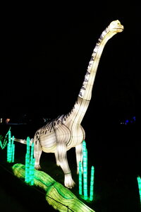 20250111 - Illuminations 2024 - Jurassique en voie d'illumination, 071