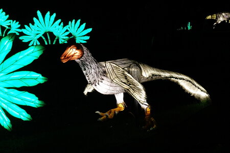 20250111 - Illuminations 2024 - Jurassique en voie d'illumination, 073