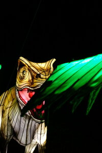 20250111 - Illuminations 2024 - Jurassique en voie d'illumination, 074