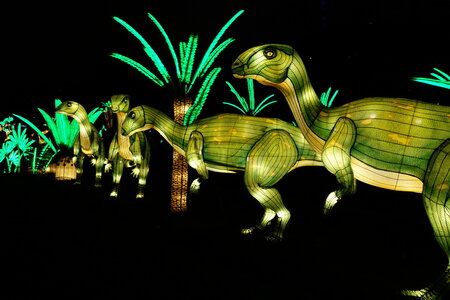 20250111 - Illuminations 2024 - Jurassique en voie d'illumination, 076