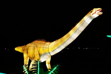 20250111 - Illuminations 2024 - Jurassique en voie d'illumination, 077