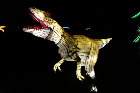 20250111 - Illuminations 2024 - Jurassique en voie d'illumination, 078