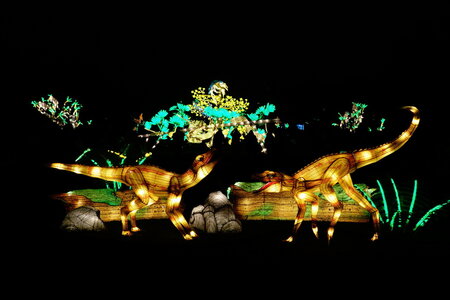 20250111 - Illuminations 2024 - Jurassique en voie d'illumination, 079