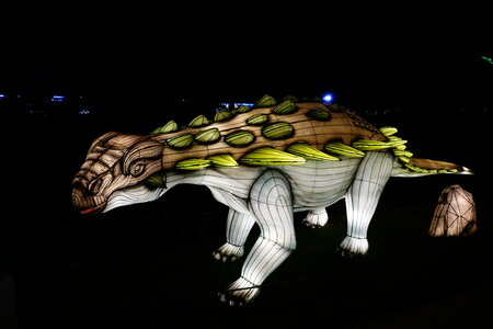 20250111 - Illuminations 2024 - Jurassique en voie d'illumination, 080