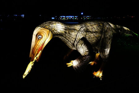 20250111 - Illuminations 2024 - Jurassique en voie d'illumination, 081