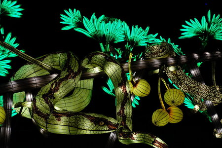 20250111 - Illuminations 2024 - Jurassique en voie d'illumination, 082