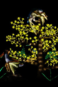 20250111 - Illuminations 2024 - Jurassique en voie d'illumination, 083