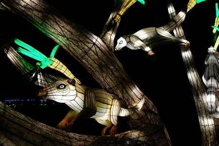 20250111 - Illuminations 2024 - Jurassique en voie d'illumination, 085