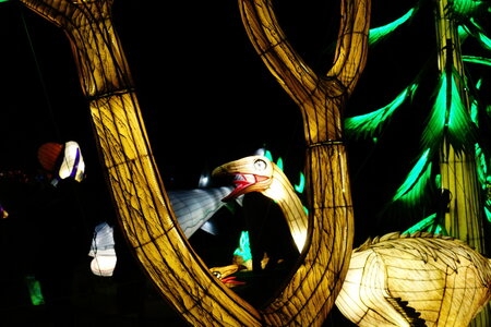 20250111 - Illuminations 2024 - Jurassique en voie d'illumination, 087