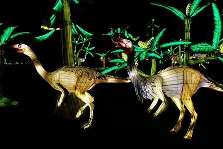 20250111 - Illuminations 2024 - Jurassique en voie d'illumination, 089