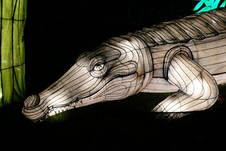 20250111 - Illuminations 2024 - Jurassique en voie d'illumination, 091