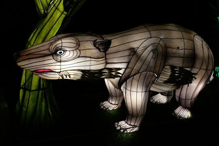 20250111 - Illuminations 2024 - Jurassique en voie d'illumination, 093